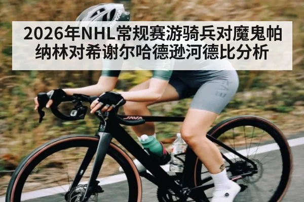 2026年NHL常规赛游骑兵对魔鬼帕纳林对希谢尔哈德逊河德比分析